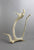 Birds, Fish, Whales, Inuit, Igloo on Antler