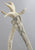 Birds, Fish, Whales, Inuit, Igloo on Antler