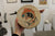 Salmon Drum, 1995