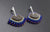 Uluapiik Earrings (Blue)