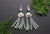 Clamshell Dentalium Earrings