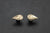 Teardrop Hummingbird Studs Earrings