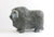 Muskox