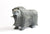 Muskox
