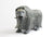 Muskox