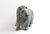 Muskox