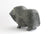 Muskox