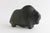 Musk Ox
