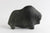 Musk Ox