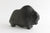 Musk Ox