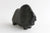 Musk Ox
