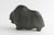 Musk Ox