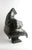 Dancing Walrus