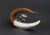 Surfing the Wave Teapot