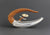 Surfing the Wave Teapot