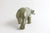 Walking Bear
