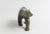 Walking Bear