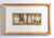 Ivory Combs