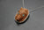 Wolf Pendant