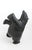 Dancing Bear