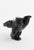 Diving Bear