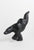 Diving Bear