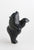 Dancing Bear