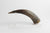 Carved Mountain Goat Horn