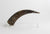 Carved Mountain Goat Horn