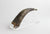 Carved Mountain Goat Horn