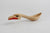 Hoobix'wiigyat (Trickster Spoon)