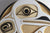 Peḵ’ Skawachgh (White Raven) Panel