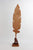 Hummingbird Feather