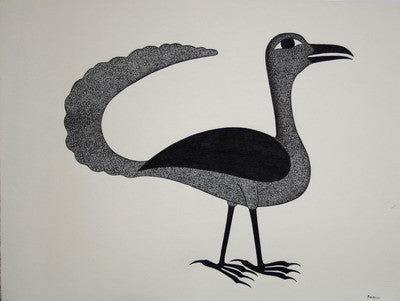 Long-tailed black bird, 1993 - 1994