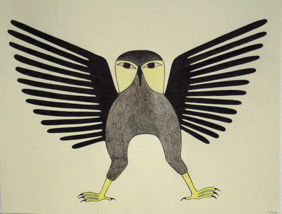 Sentinel Owl, 1992 - 1993