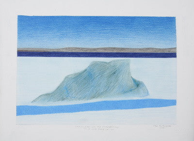 19. LANDSCAPE. ON THE FOREGROUND IS A OLD PIECE OF ICE, 2009