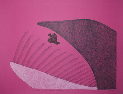 43. Whale & Bird