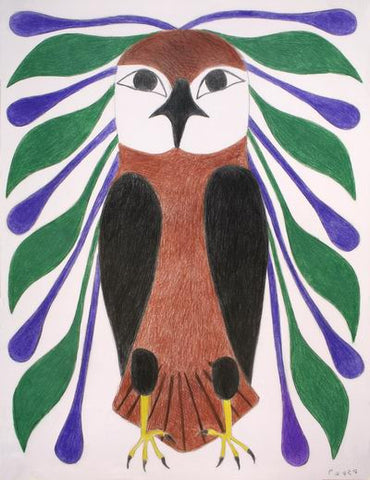 5. Extravagant Owl
