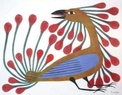 18. Bird With Red Plumage