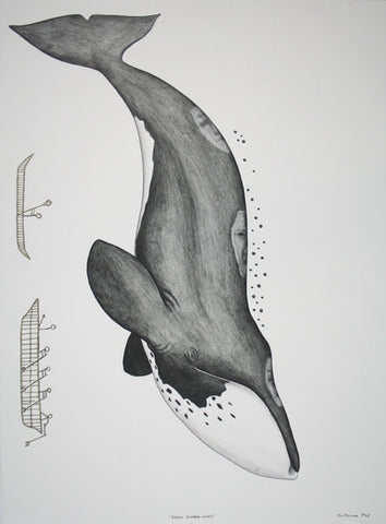 Diving Bowhead Whale