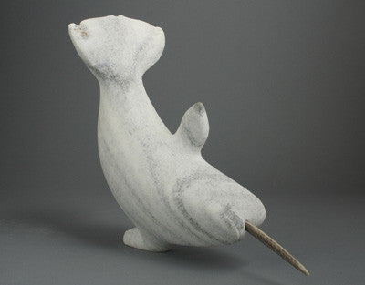 34. Narwhal