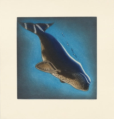 Arqavitturq (Diving Whale)