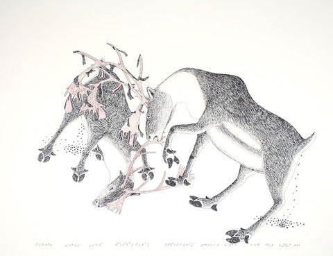 Untitled (Fighting Caribou)