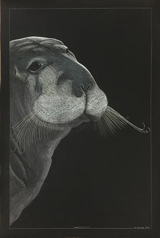 Udjuk (Bearded Seal) by Tim Pitsiulak Inuit Artist from Cape Dorset