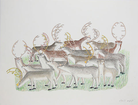 Untitled (Herd of Caribou)