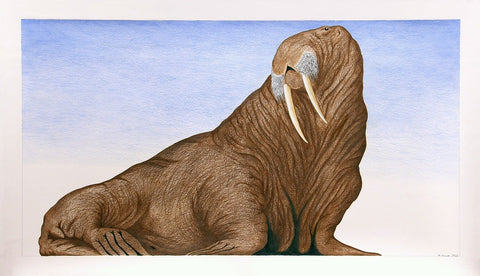Untitled (Walrus), 2016