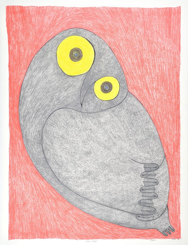 Snowy Owlet