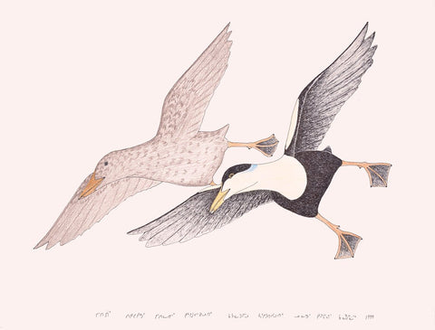 Inuit Title (Common Eider Ducks Migrating, Right After Smaller Eider Ducks Has Arrived)