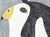 Kiggavik – Peregrine Falcon