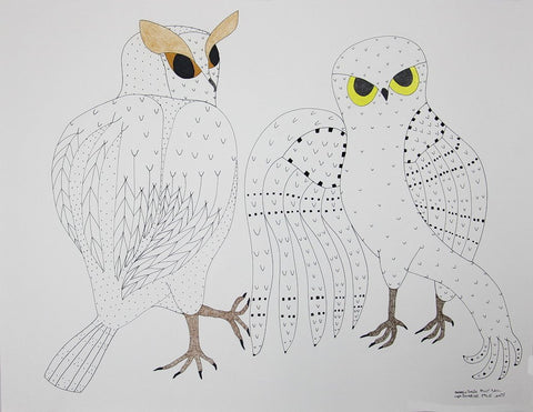 Untitled (Owls) by Ooloosie Saila 400 Artist from Cape Dorset, 2017